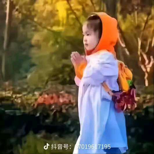 藏巴哦罗