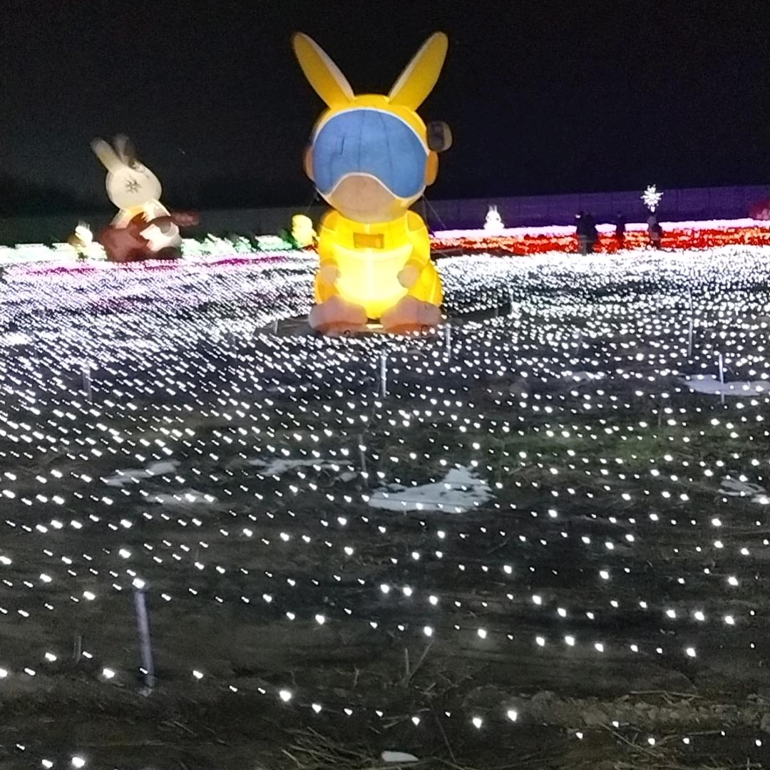 小刘游戏