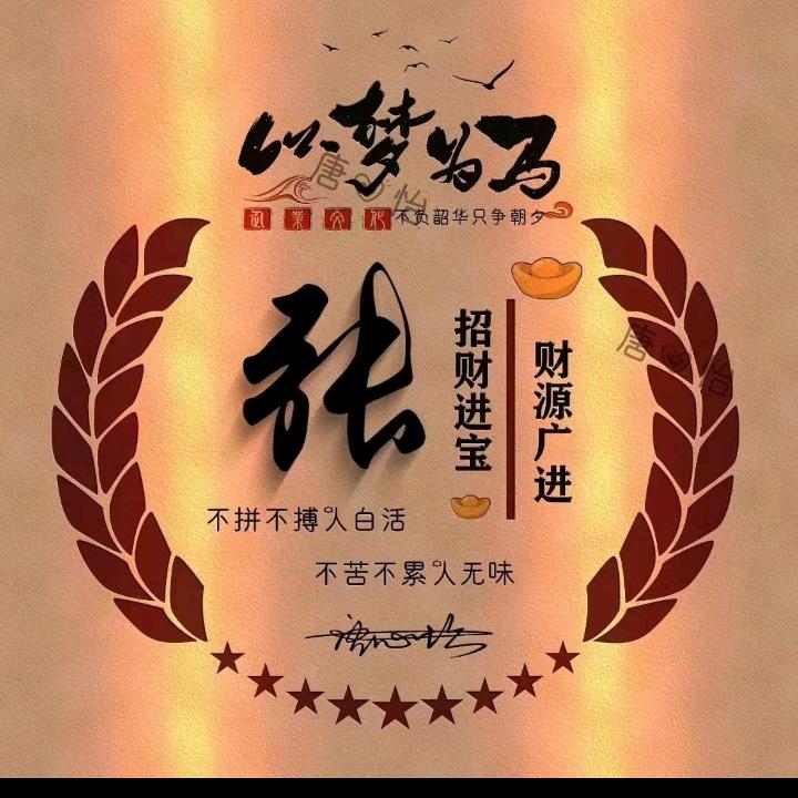 张家二少