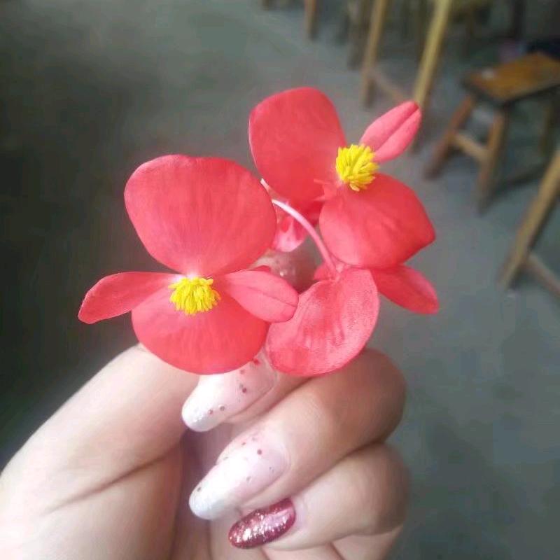 遨游