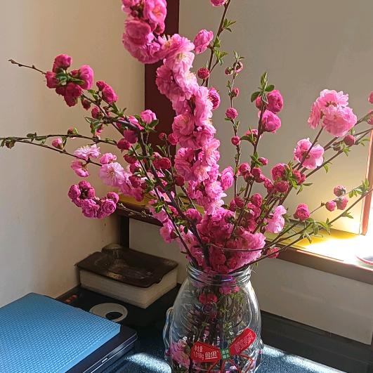 一路生花