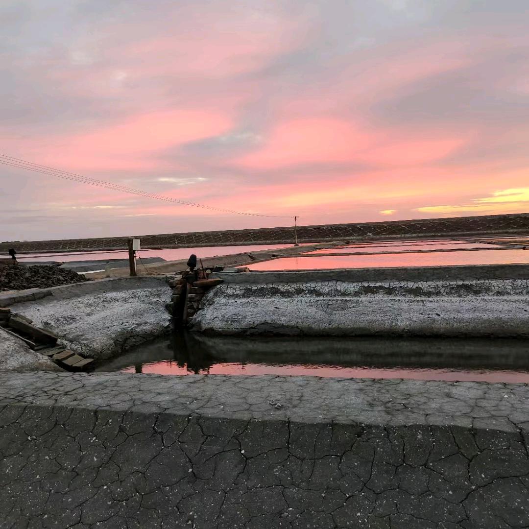 福建海土皮直销/种植胡萝卜