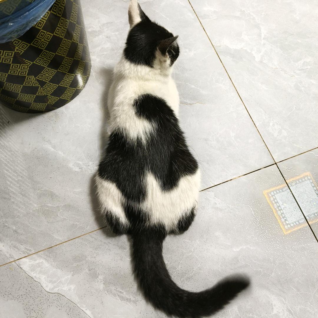 ƪ(˘⌣˘)ʃ优雅 ❤ 欣悦