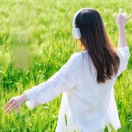 好听音乐🎙