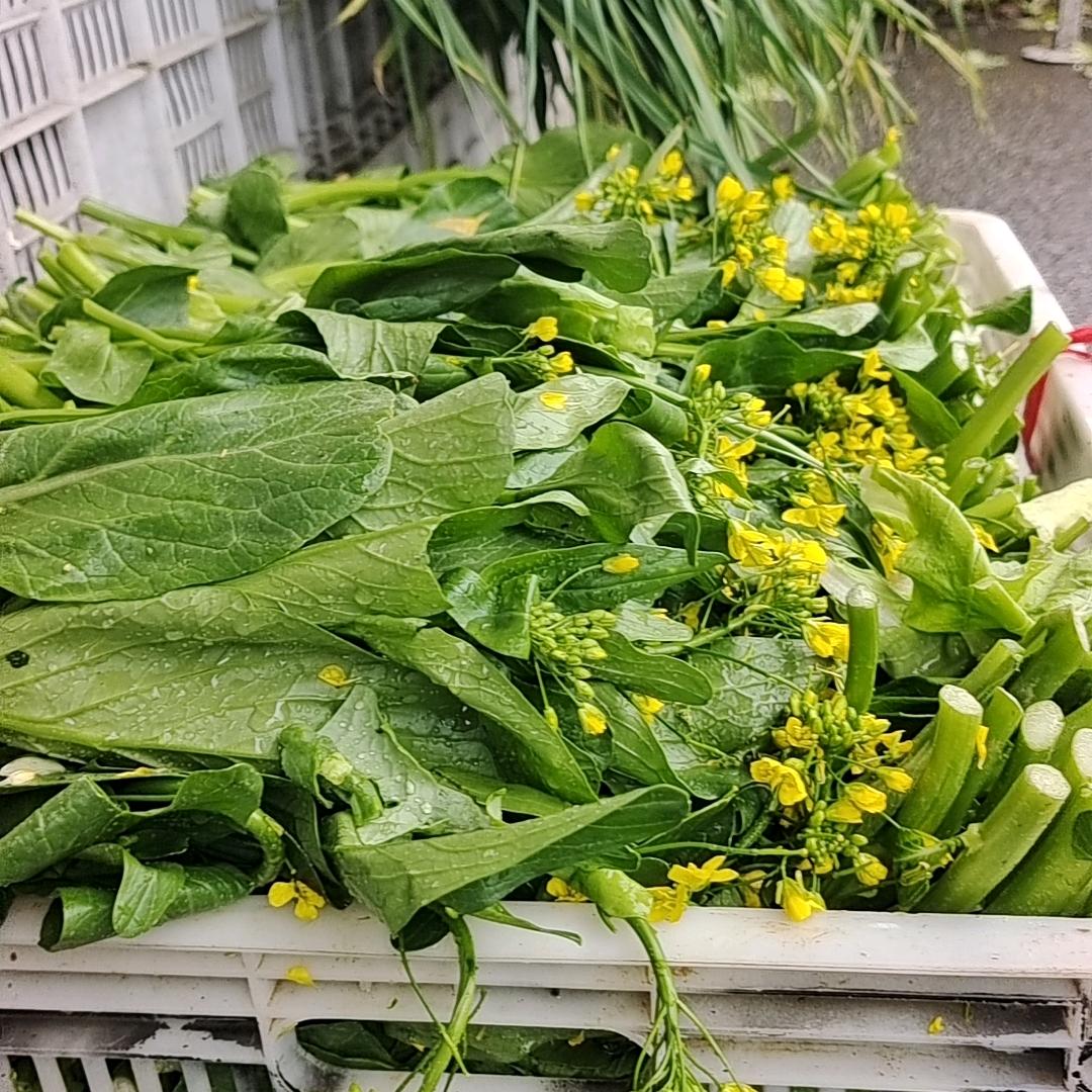 福建盛鑫隆农业科技发展有限公司