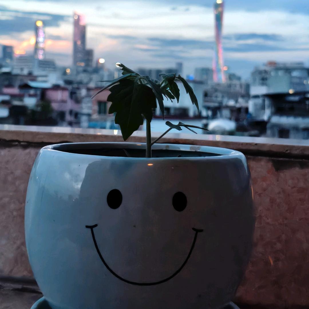 往后好好生活🦋