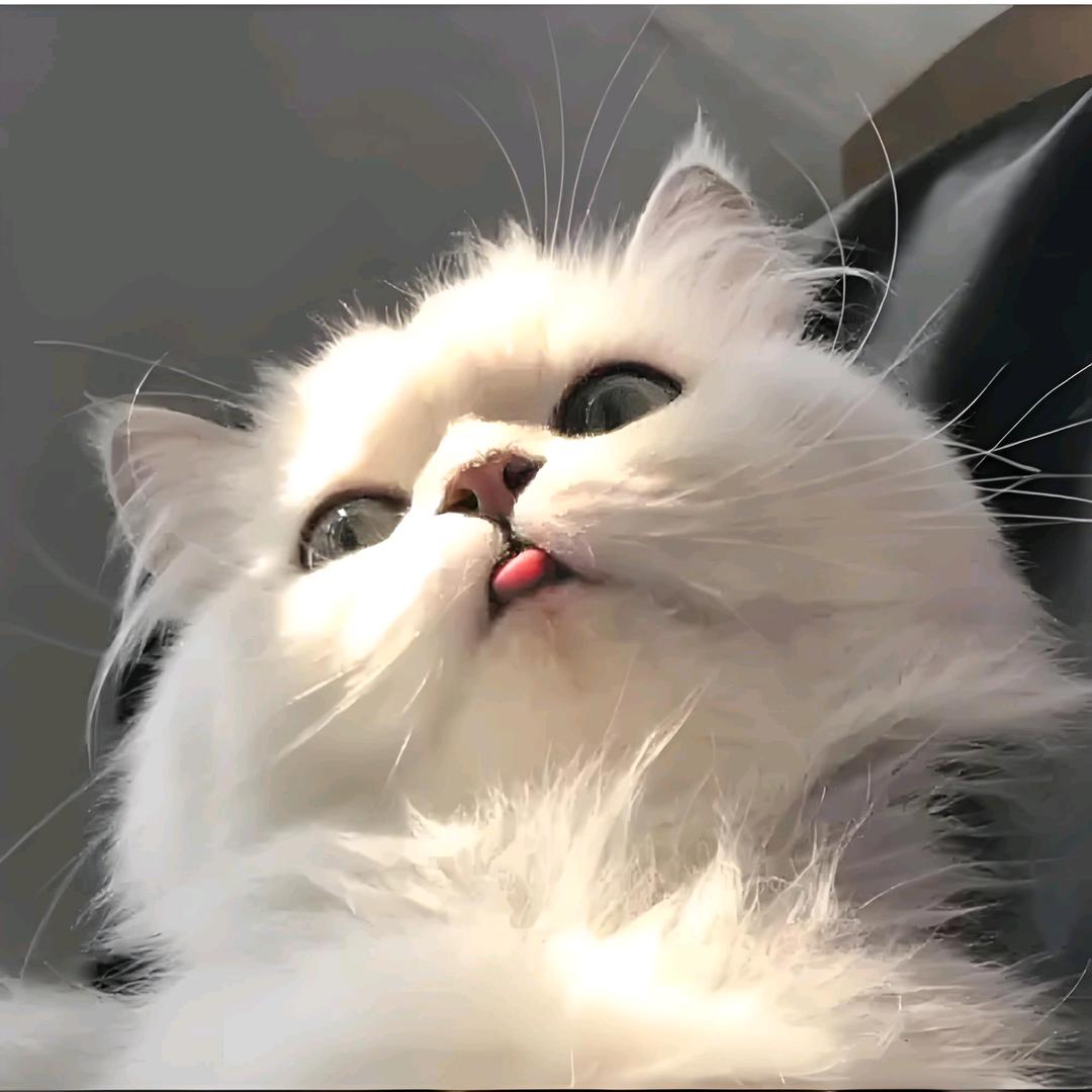 佩瑜好物.