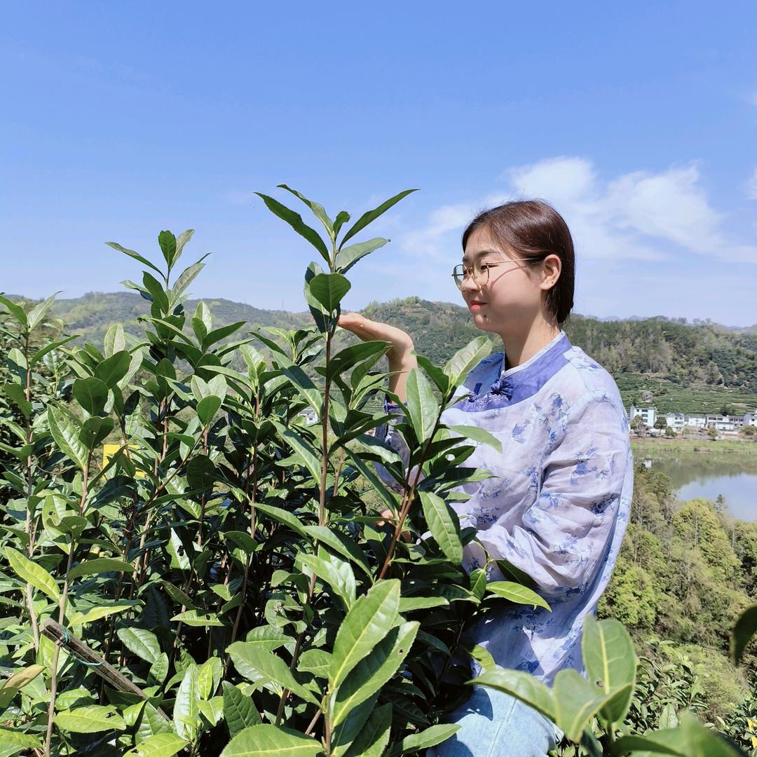 皖南乡村惜惜（黄山土特产）