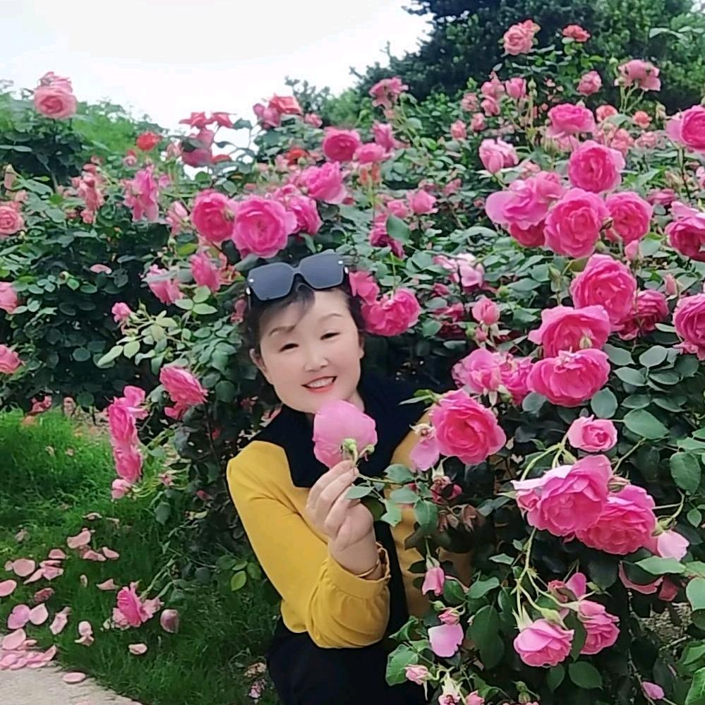 温暖阳光（自娱自乐）