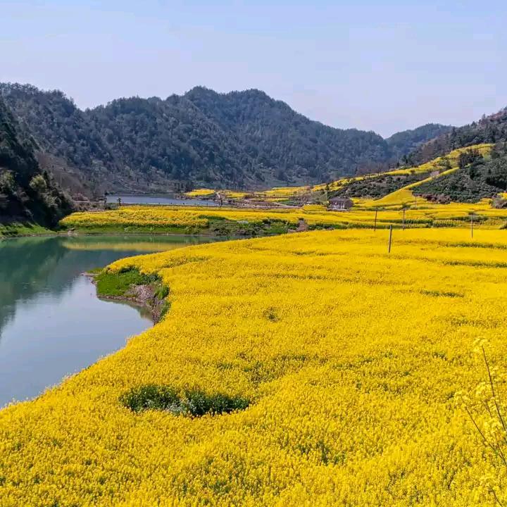 🥀别具🌿一葛🍓ོ࿐