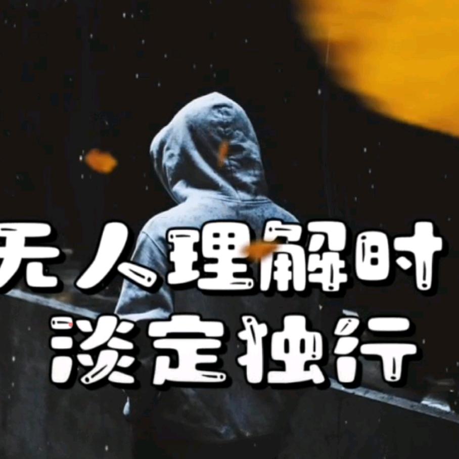 vdl疯子