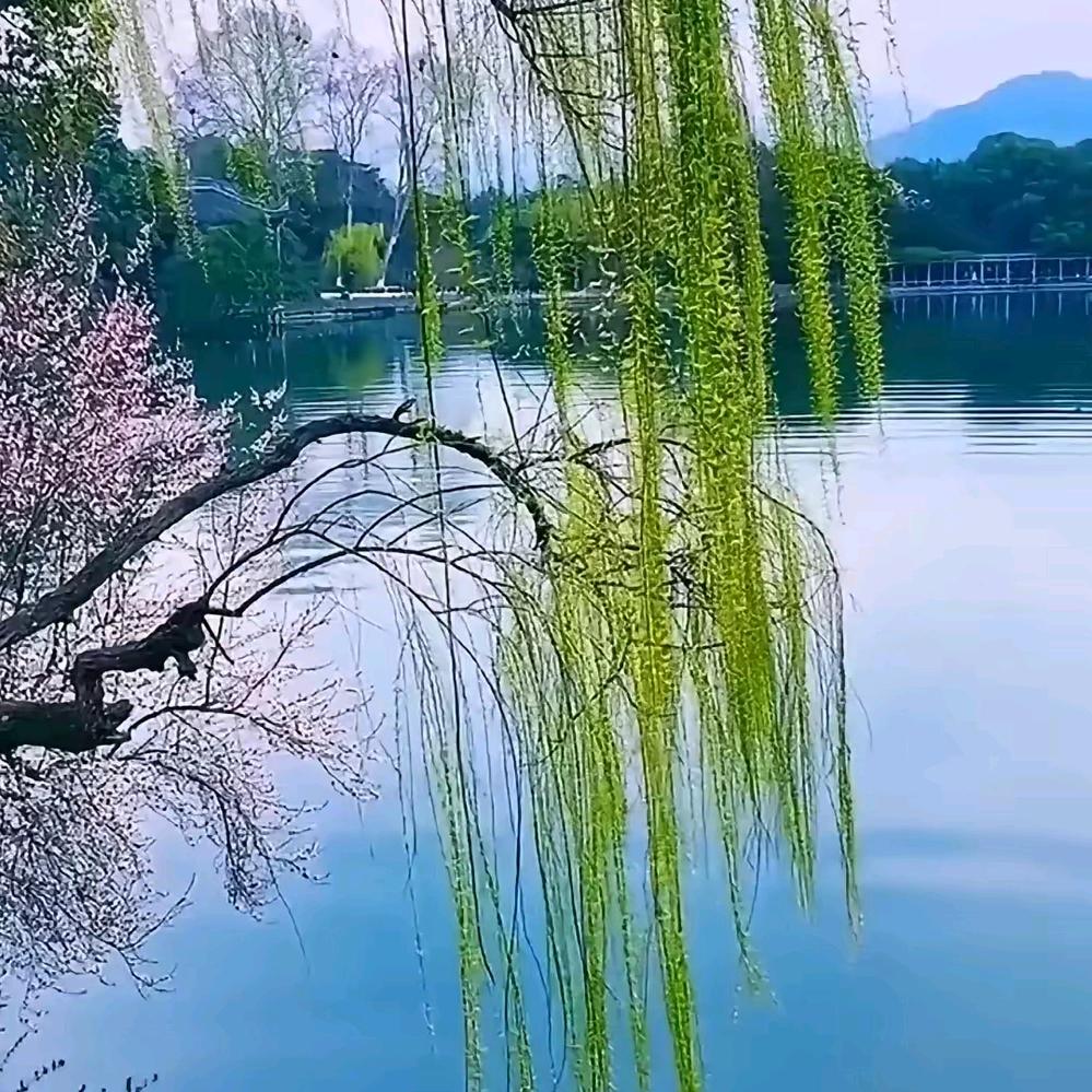 明智之举