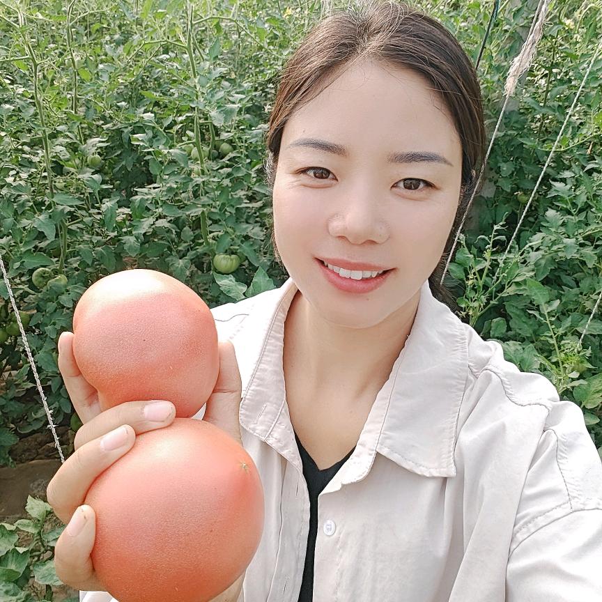 刘 亚·西红柿🍅