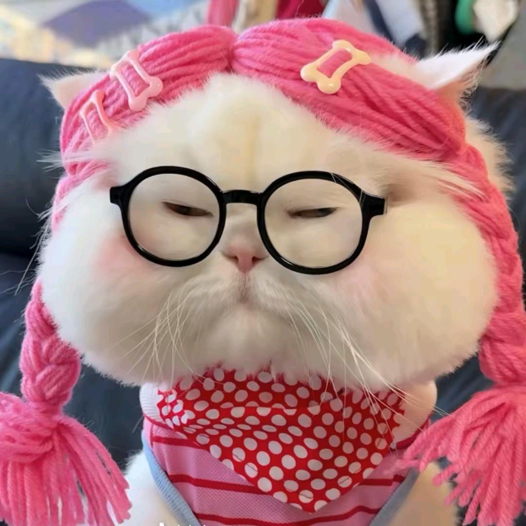 无语是我的回答