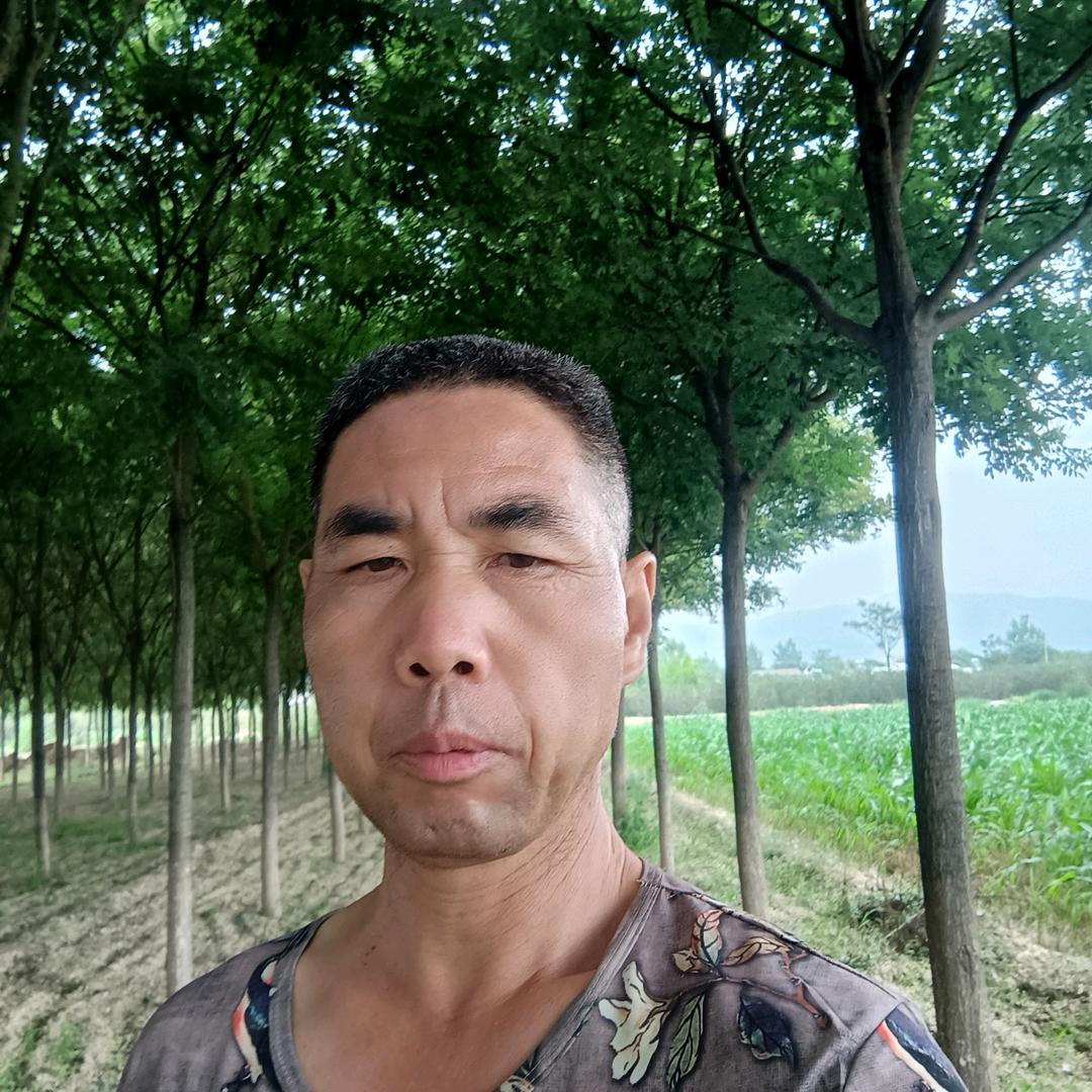 我的快乐就是想你