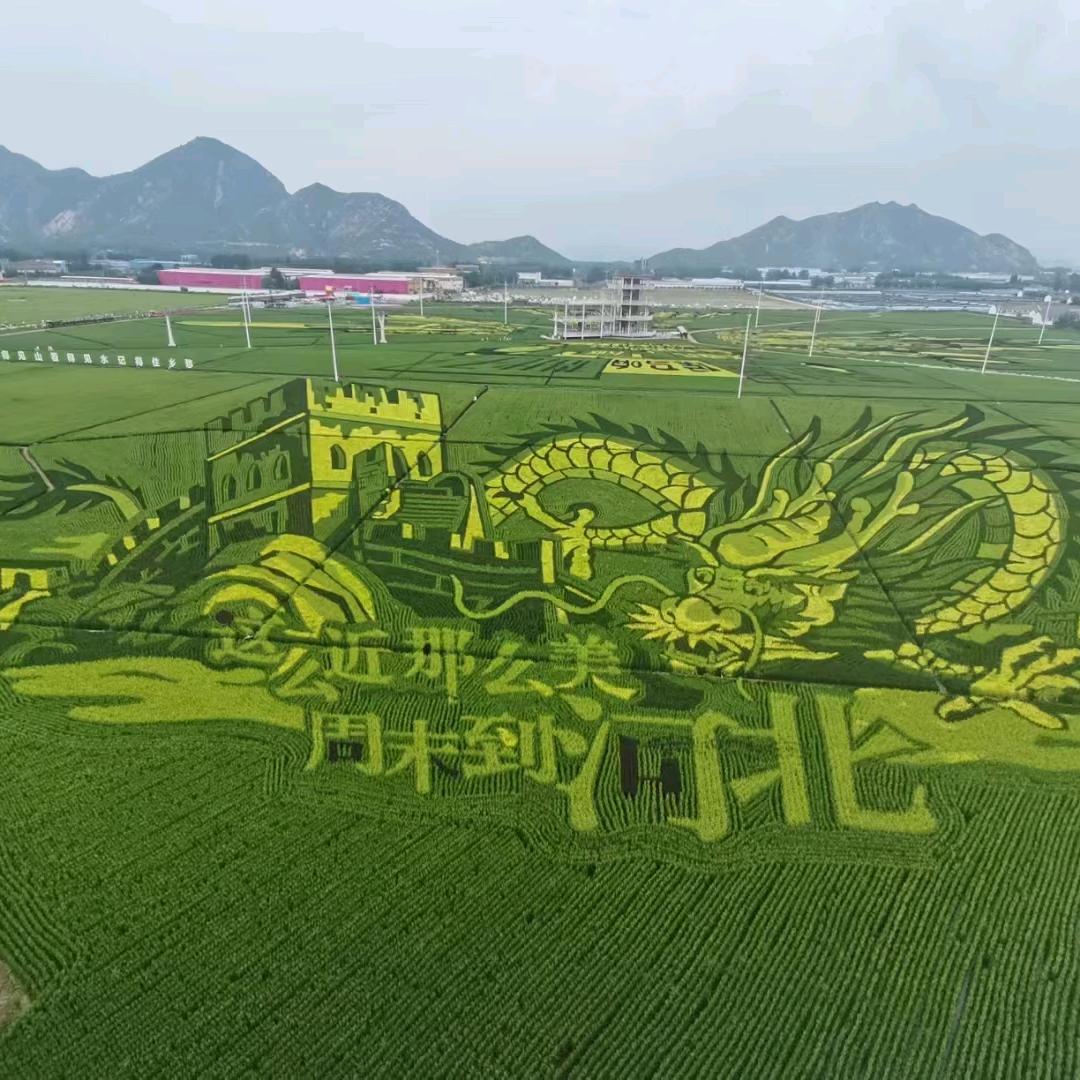阿弥陀佛