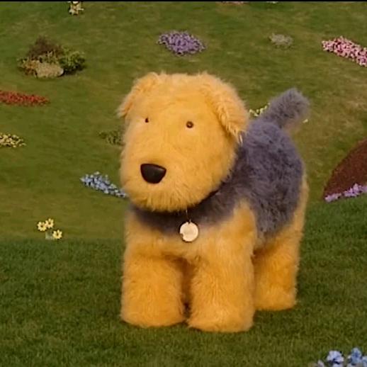 秋树今天玩什么