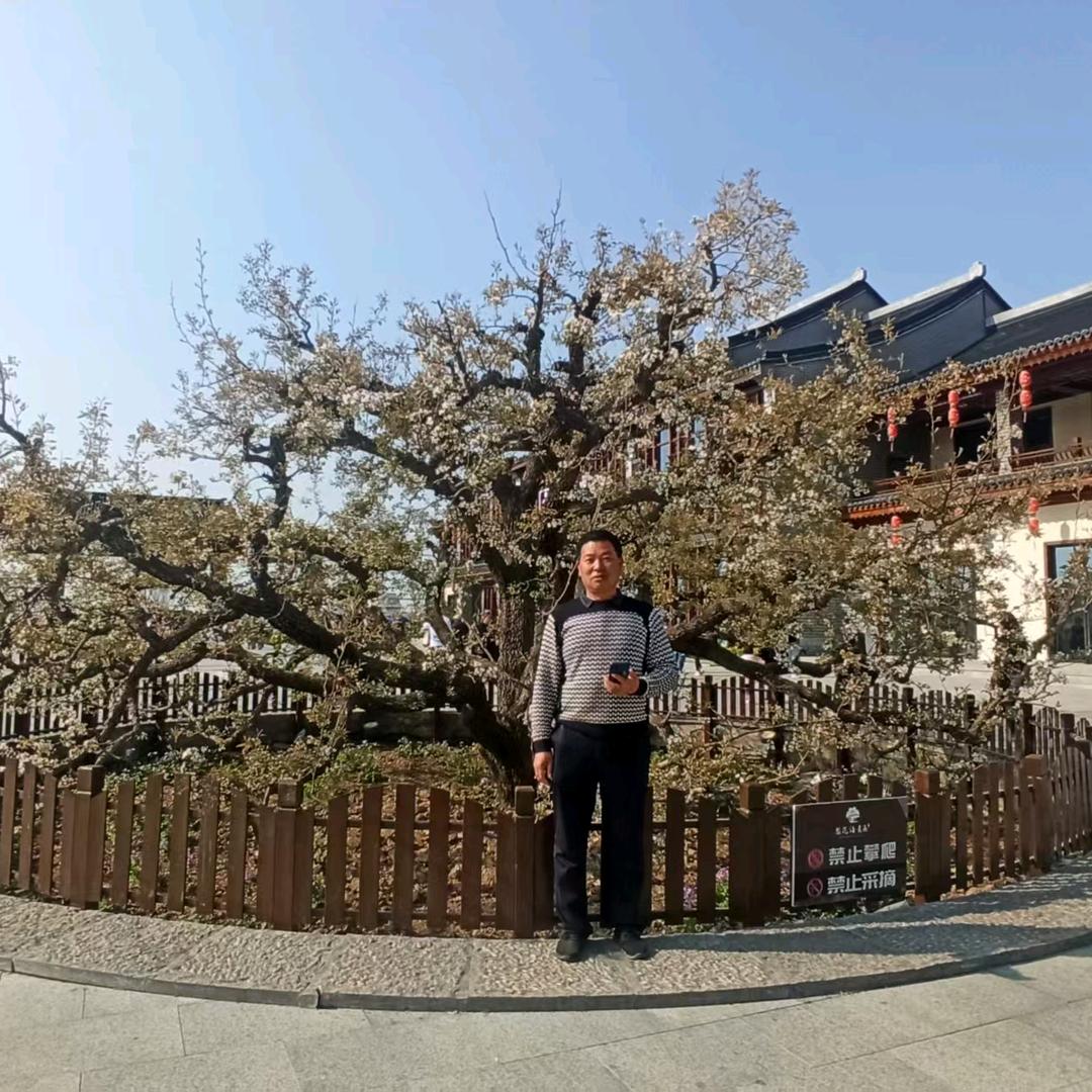 烙印🤾🏽‍♀️劫后佘生⛹️