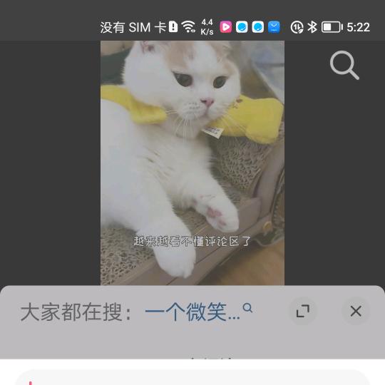 暖阳猫HomeHome