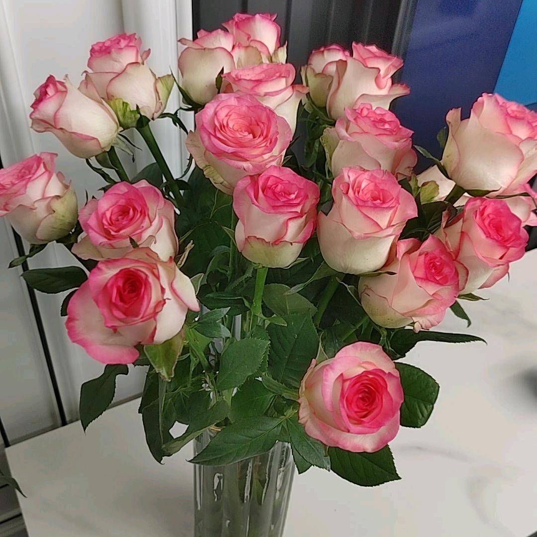 ✨💕女人🎵如歌💕✨