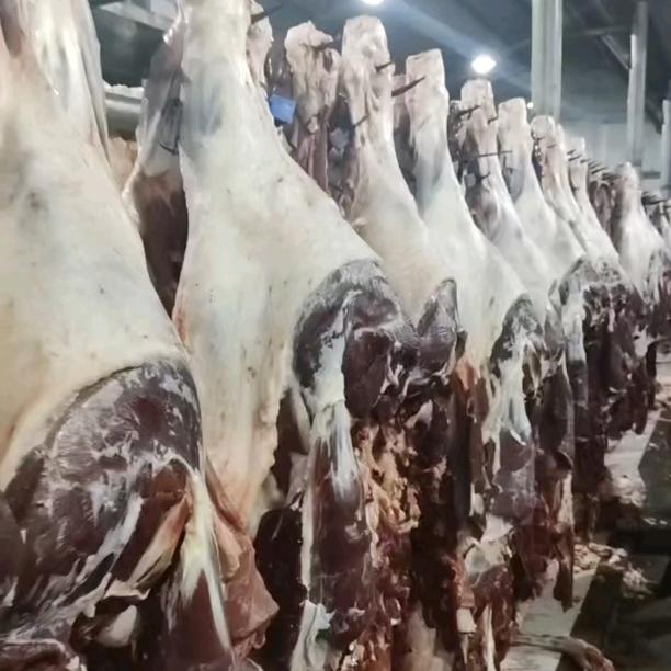 可靠的纯肉