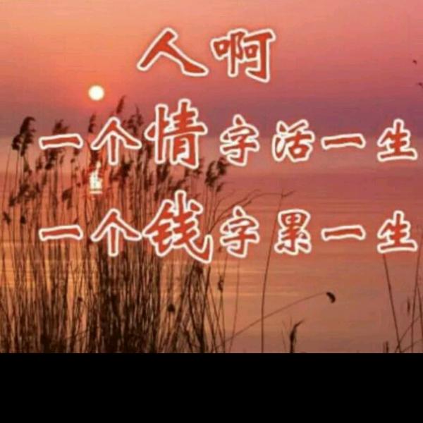 好运相￥宋