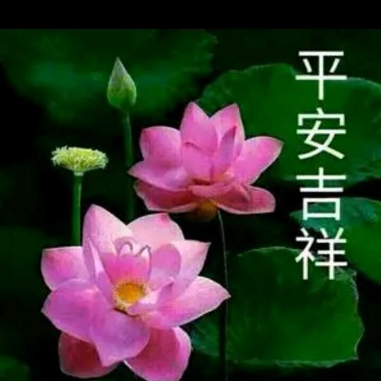 小哥哥