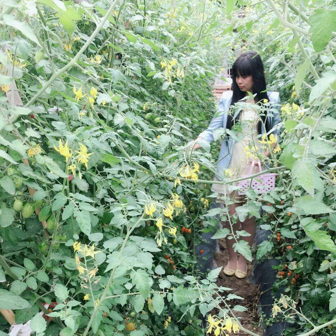 慕色天使