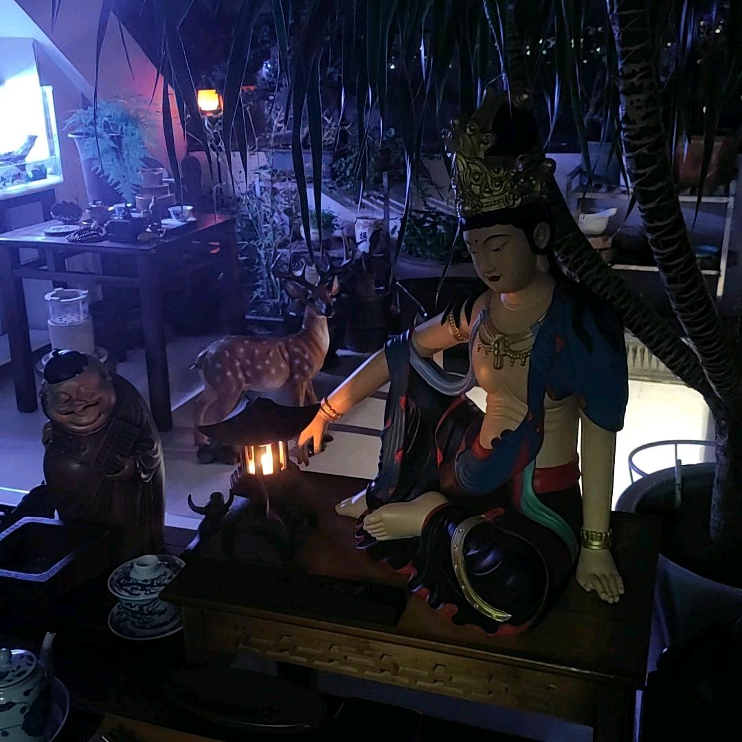 观智🙏