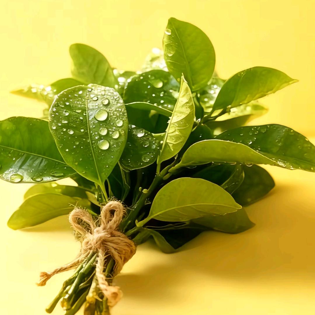 微奈尔🌸（拒绝连赞）