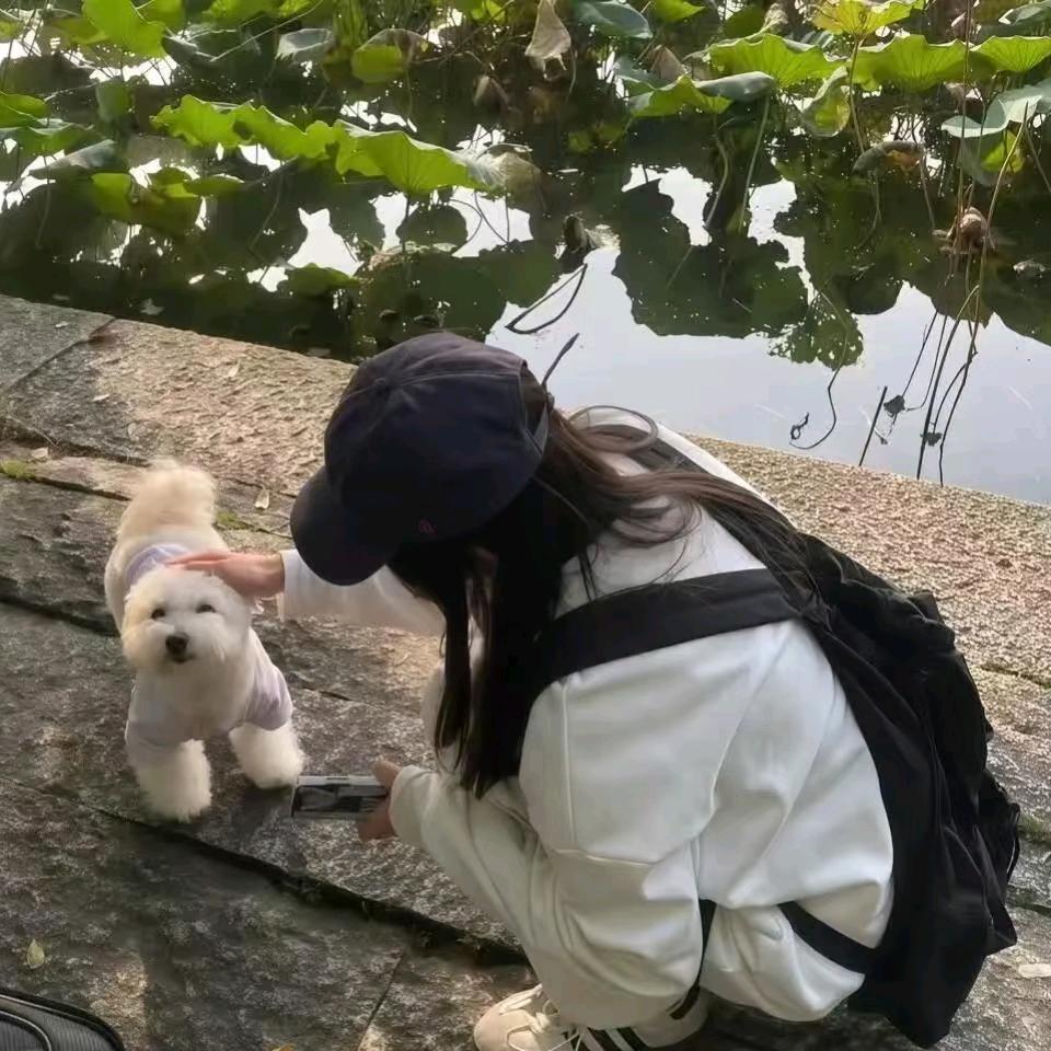 贰柒