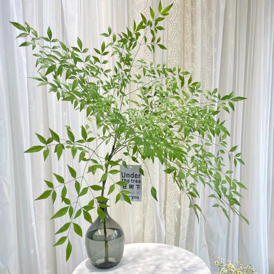 아름답다（areumdapda）