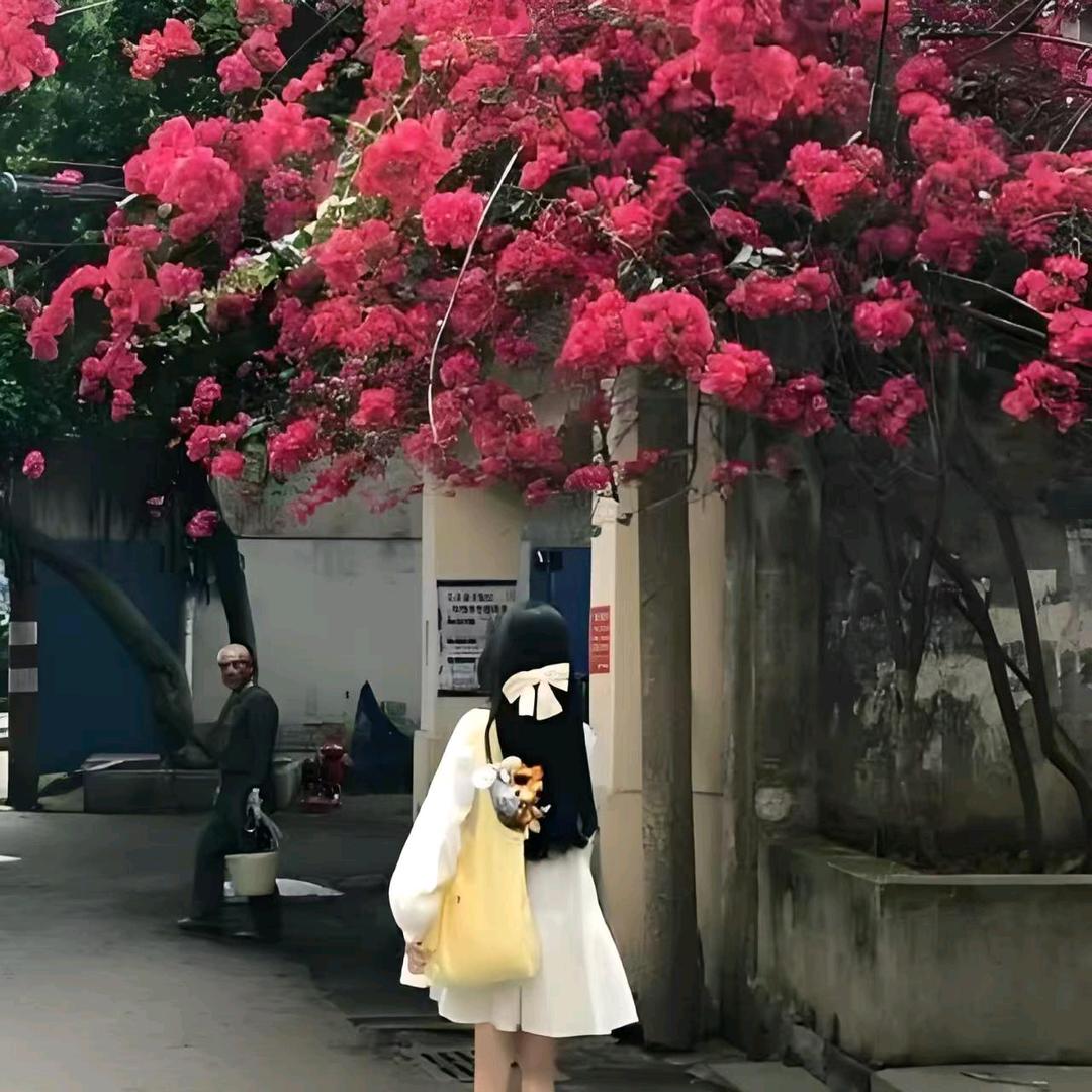 琪琪「看主页进群」