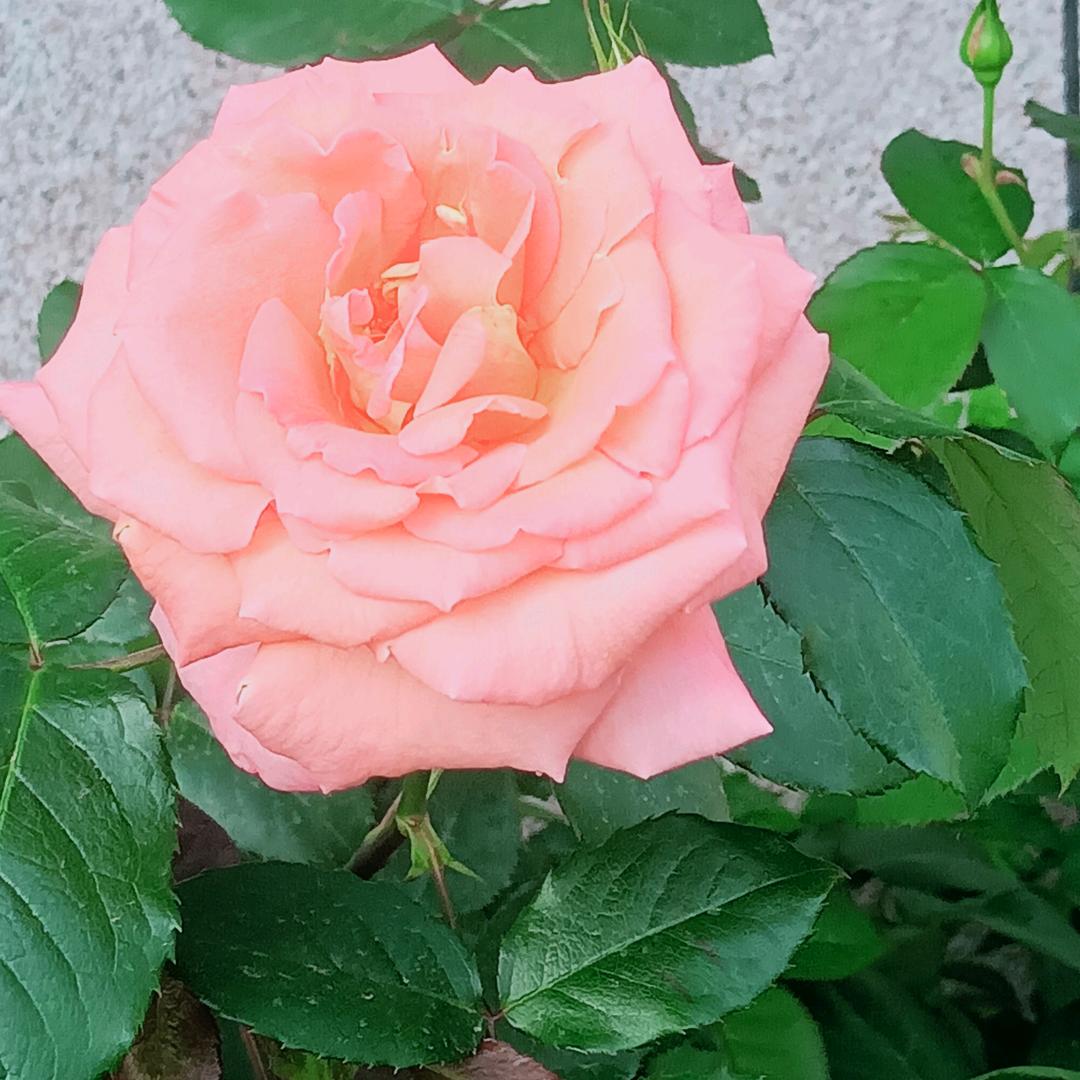 一切随缘用户3051375579959