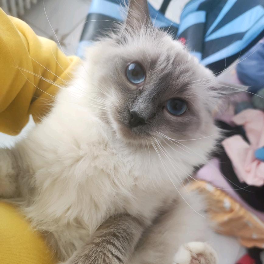 吃不胖的小伙纸