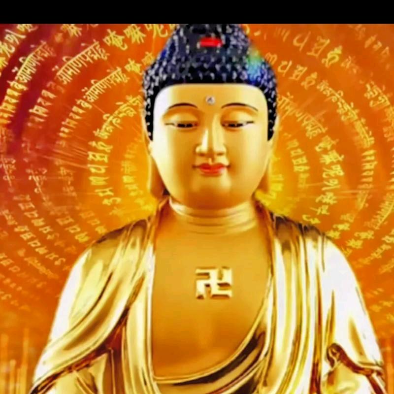 白水东娃