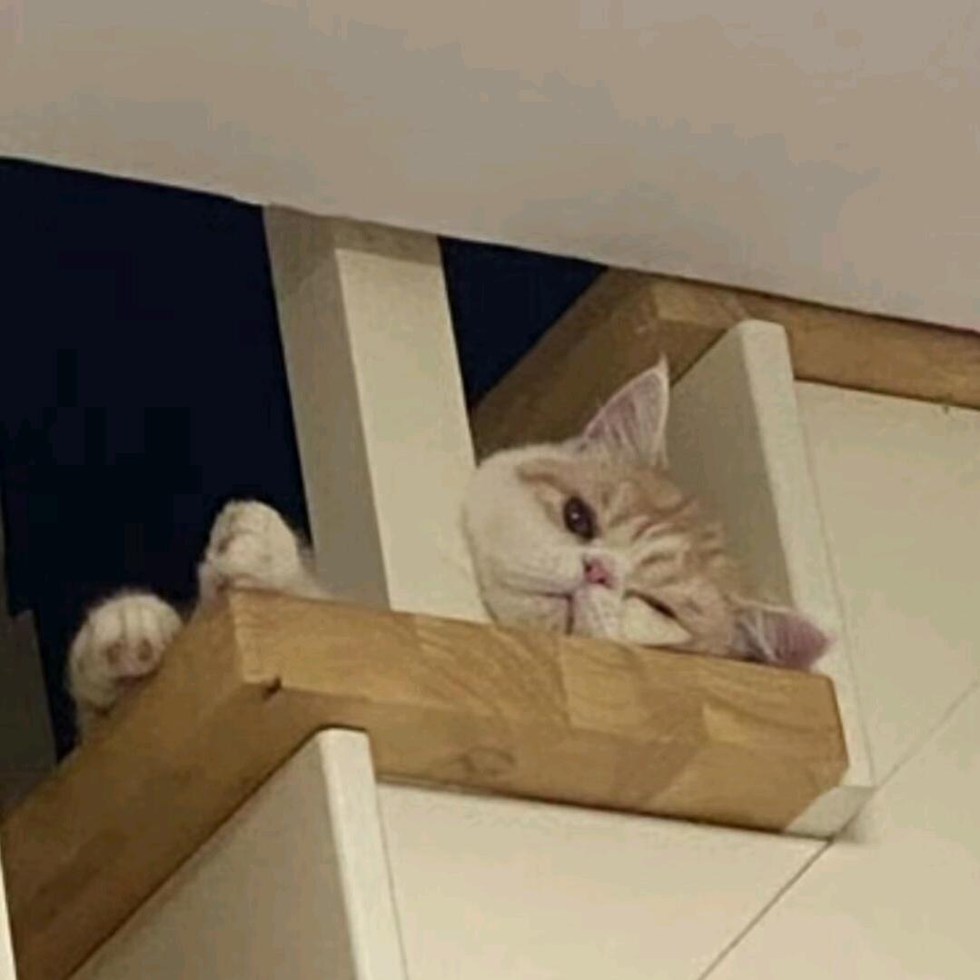 時意