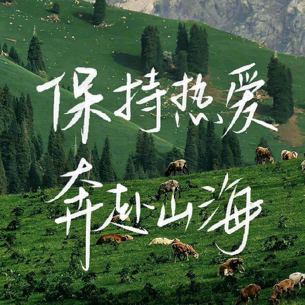 玛卡巴卡的墨镜