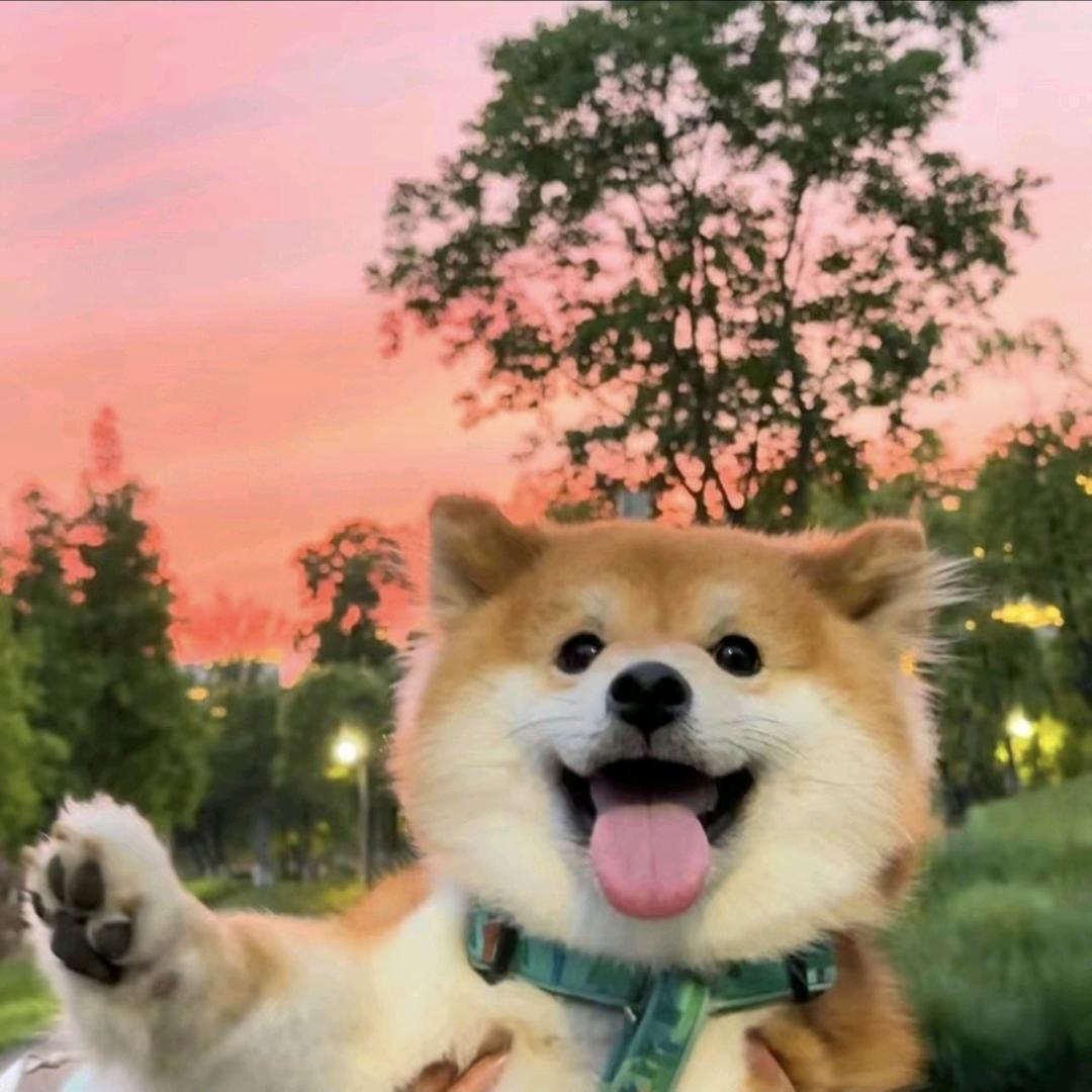 🌈🌈🌈幸运福袋获得者🌈🌈🌈
