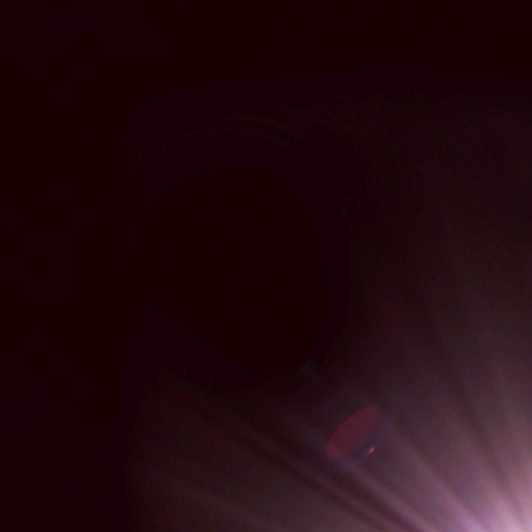 落花有汨…犹带恨