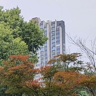 冲呀小乌龟