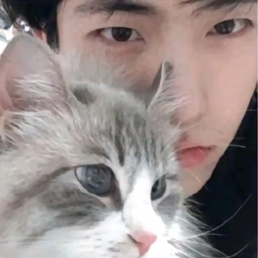 我纯洁的像茅坑里没用过的厕纸