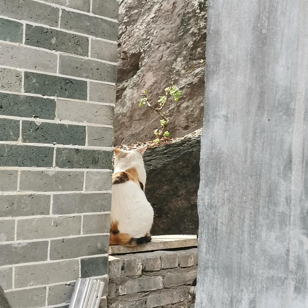 迷迷迷🧐