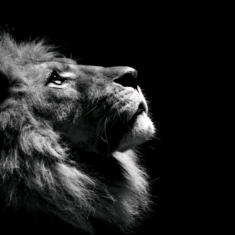 普通两轮机动车驾驶员