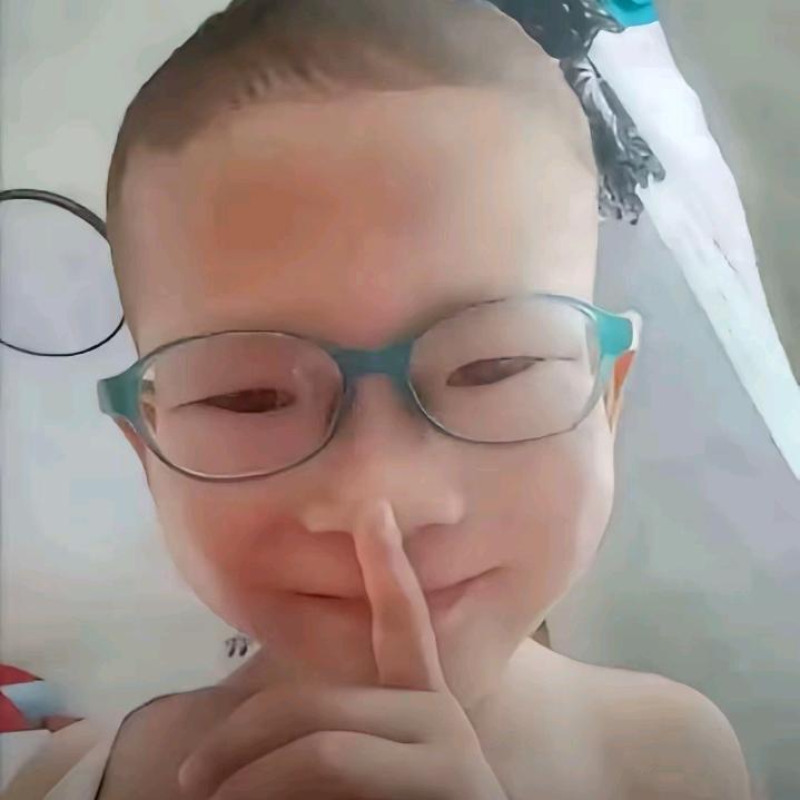 鸟类克星心