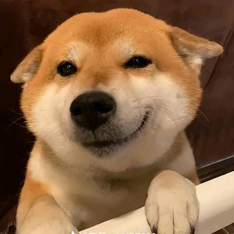 起泡小迷糊