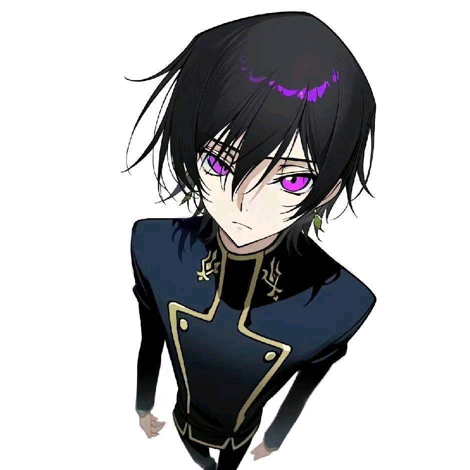 轮椅上好物分享