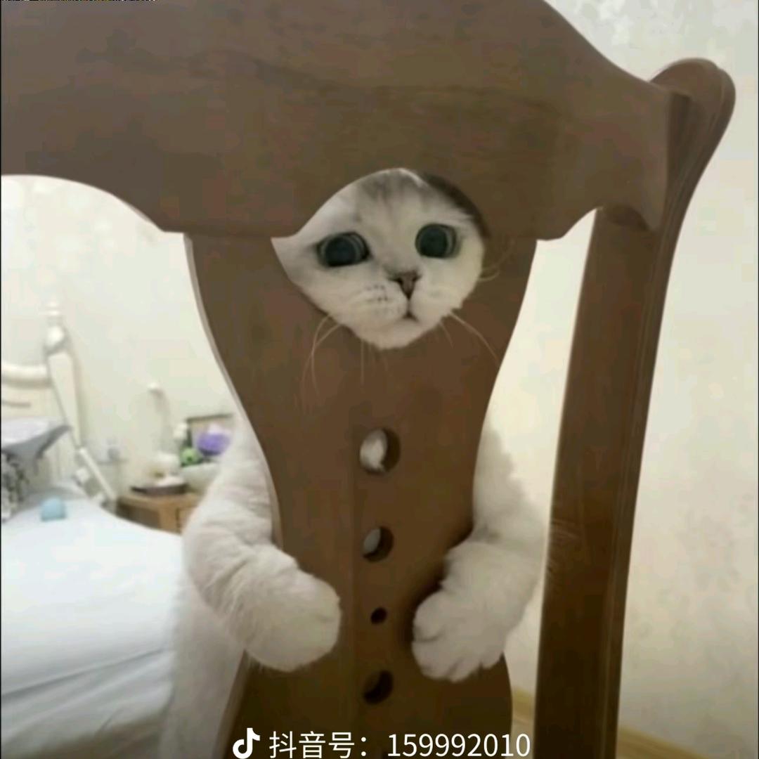 清风上南枝