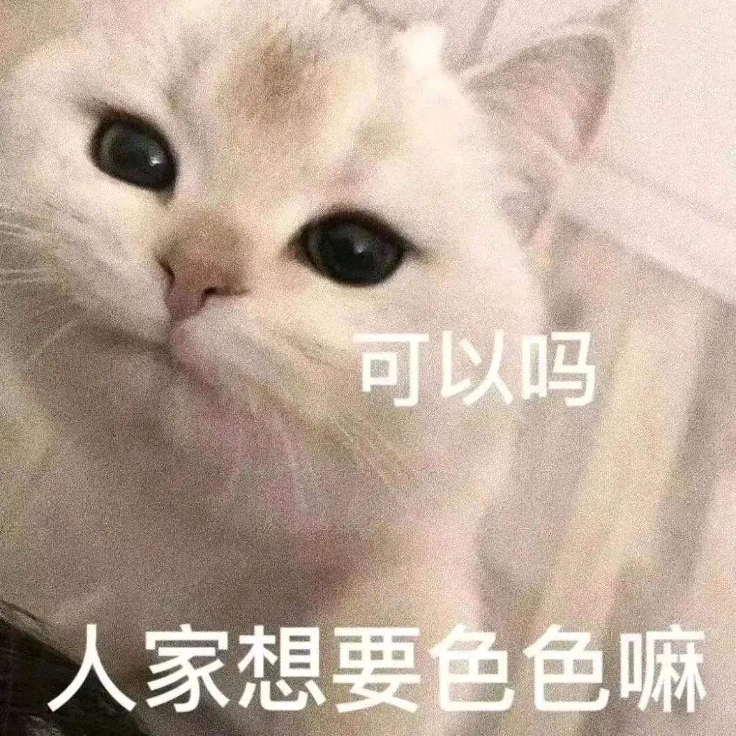 夏天的冰棒