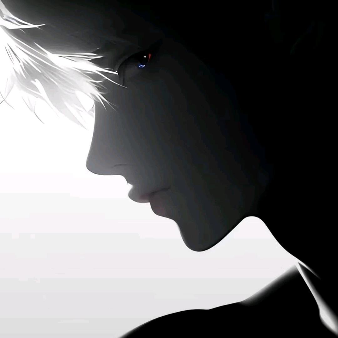 y总